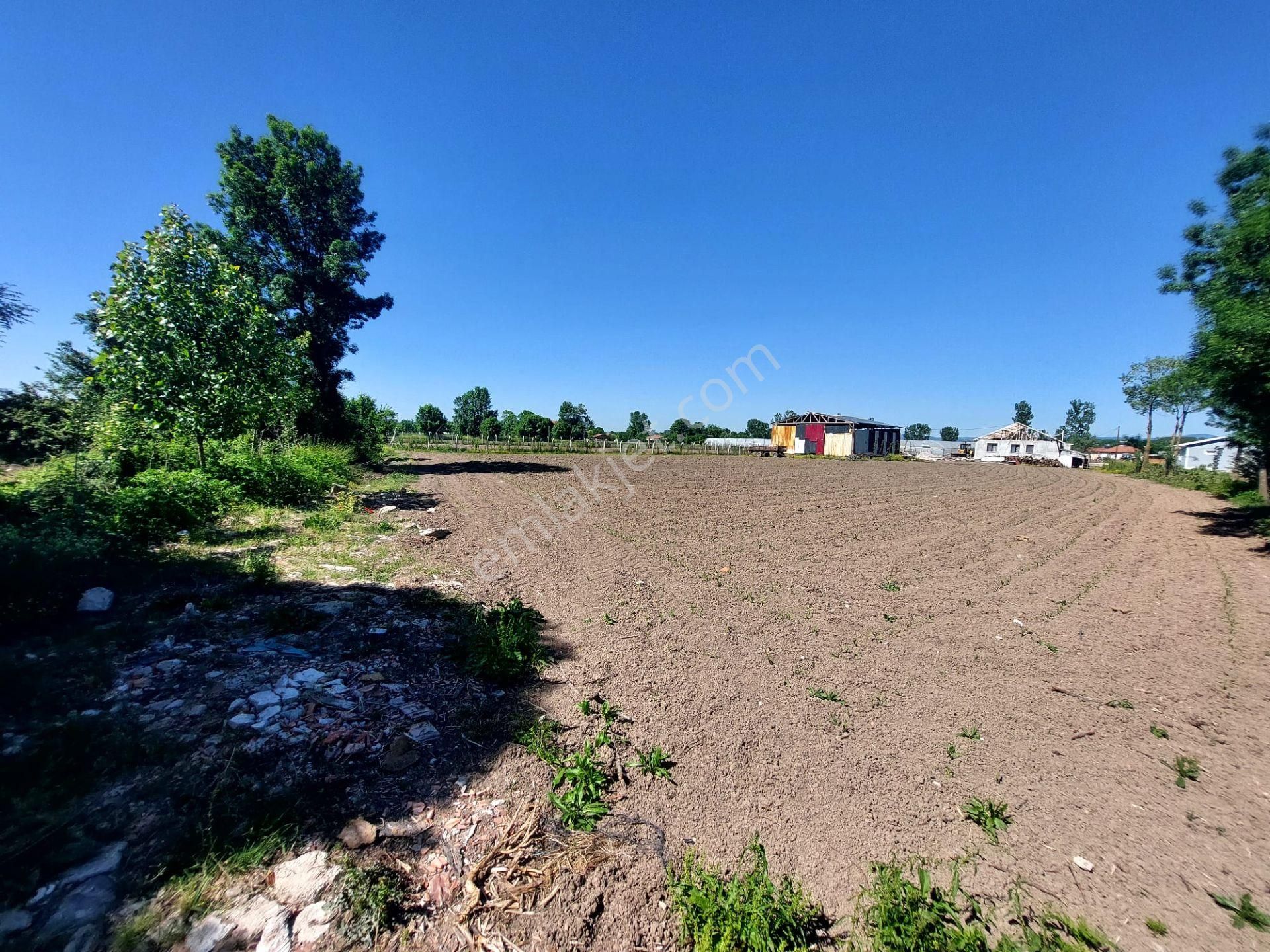 Sakarya Adapazarı Yeşilyurt Ta Satılık 2 Adet Tarla (parsel 26 Ve 27) - Görsel 10