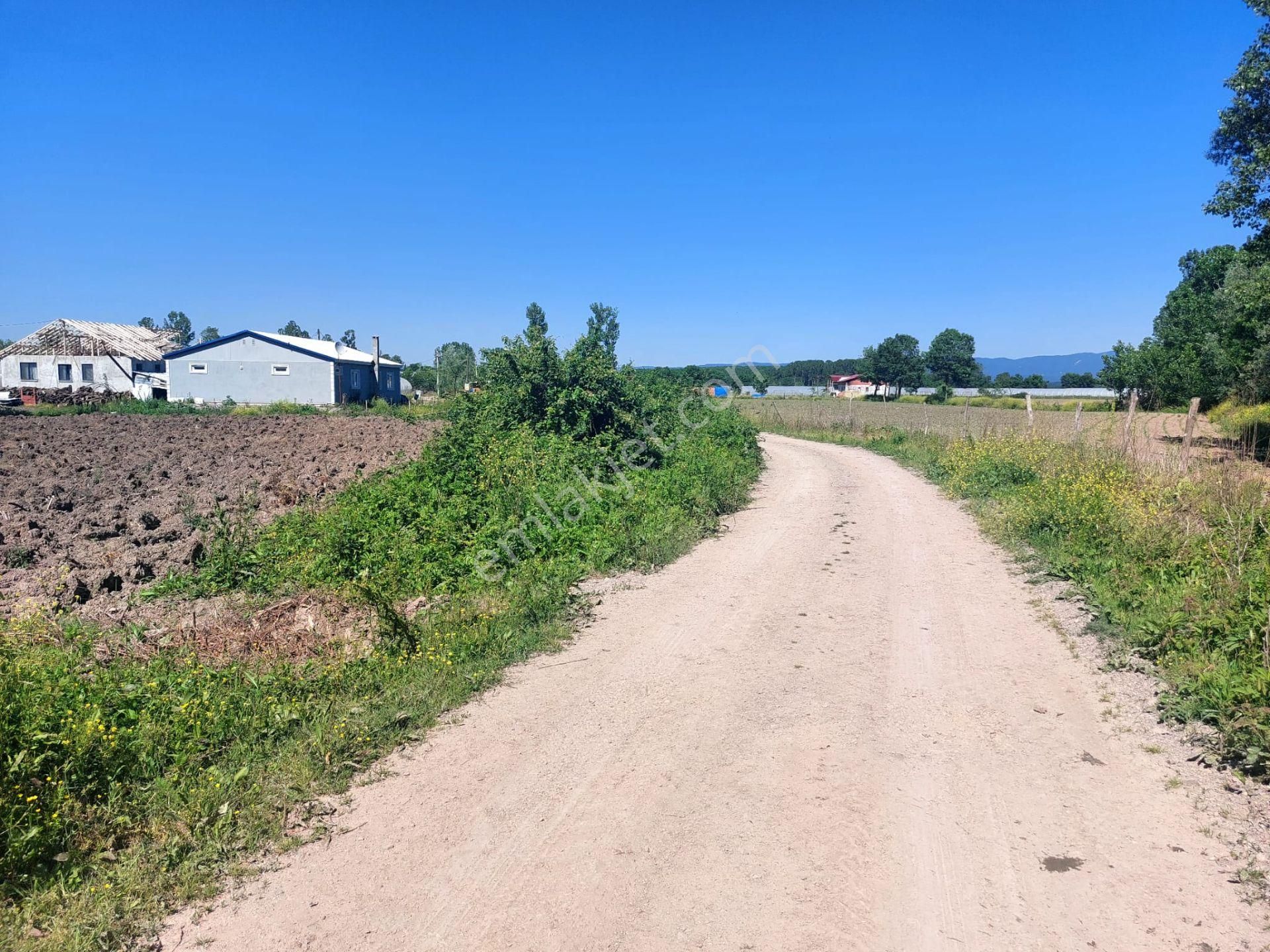 Sakarya Adapazarı Yeşilyurt Ta Satılık 2 Adet Tarla (parsel 26 Ve 27)