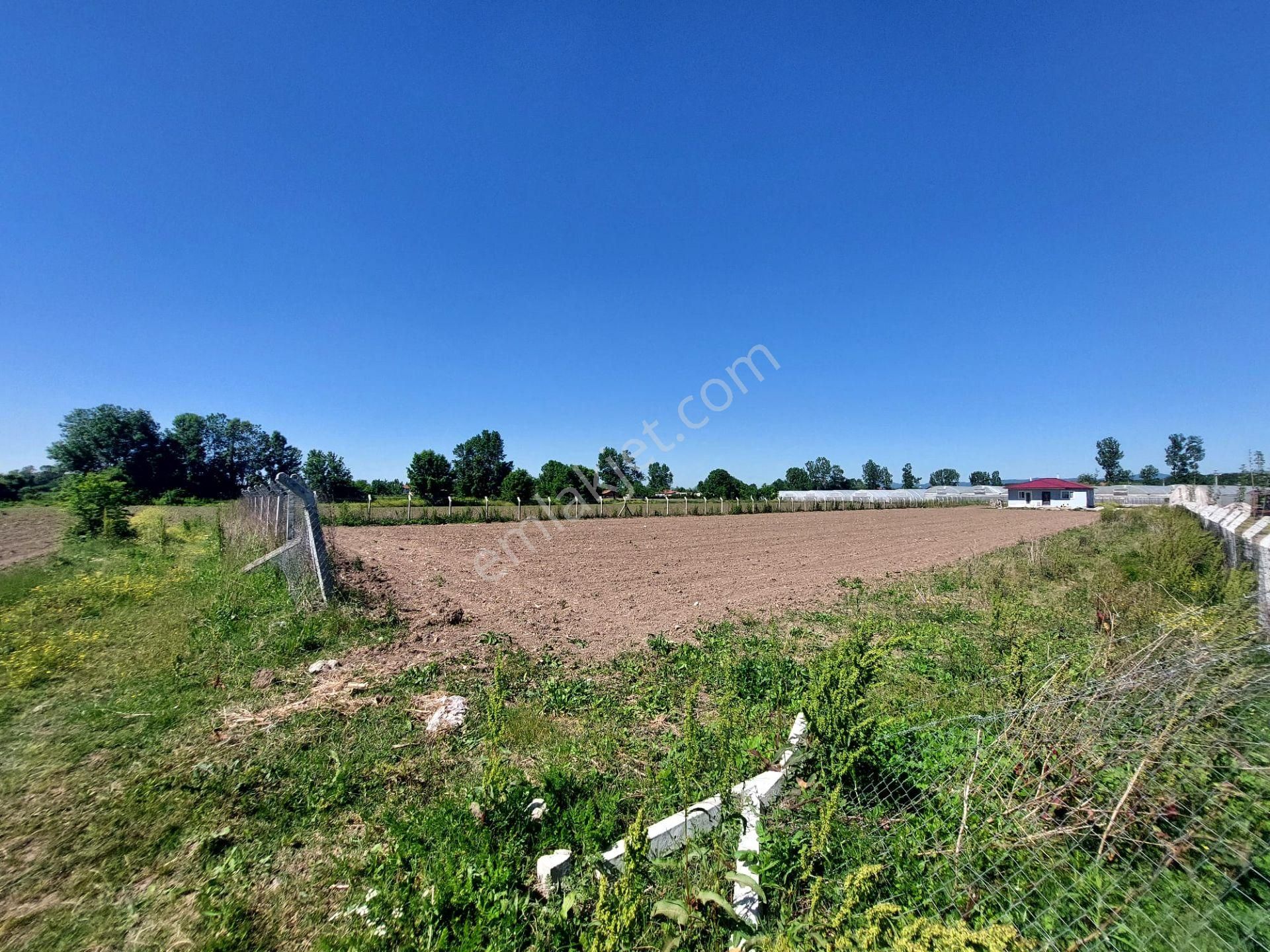 Sakarya Adapazarı Yeşilyurt Ta Satılık 2 Adet Tarla (parsel 26 Ve 27) - Görsel 13