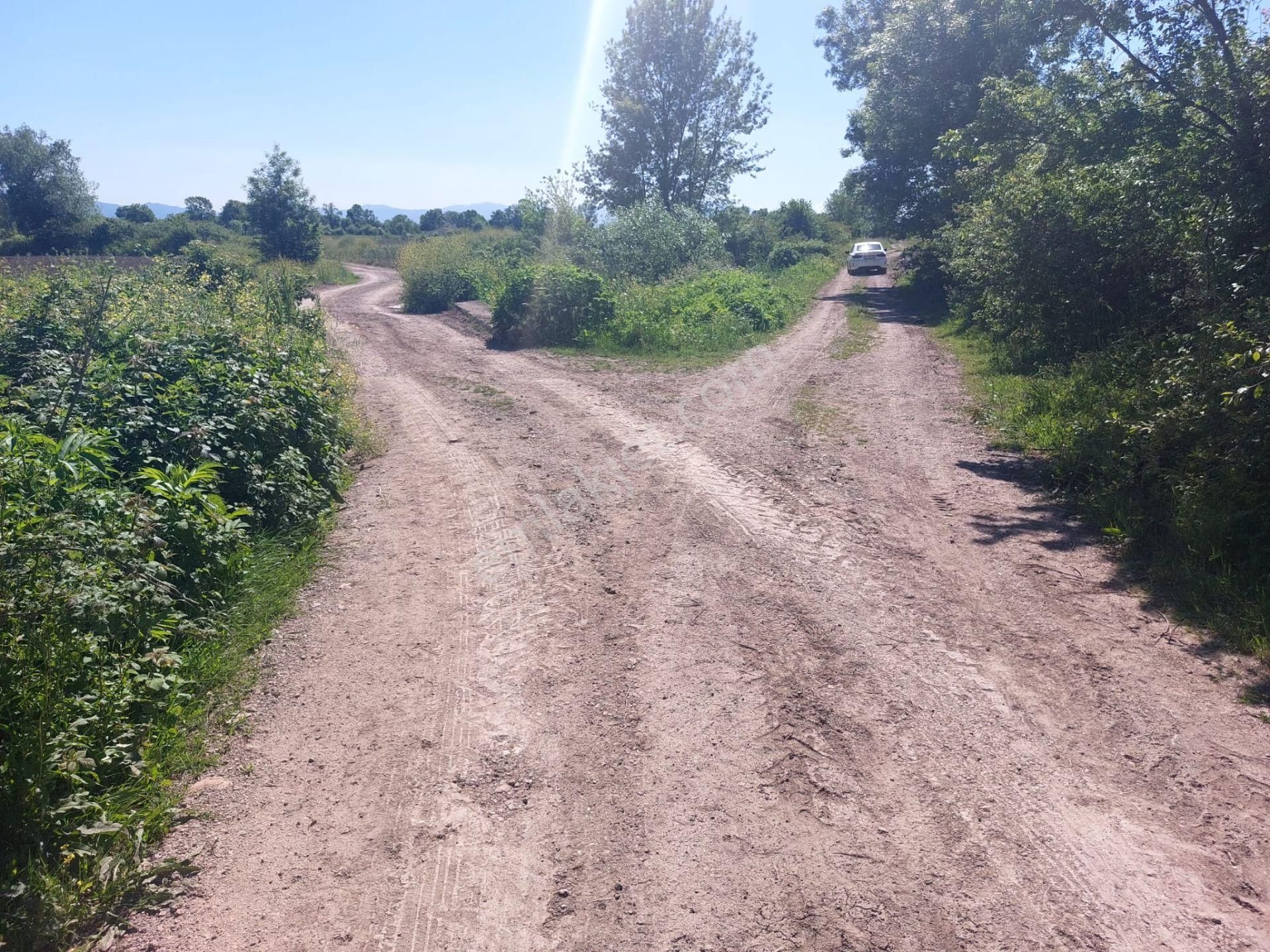 Sakarya Adapazarı Yeşilyurt Ta Satılık 2 Adet Tarla (parsel 26 Ve 27) - Görsel 9