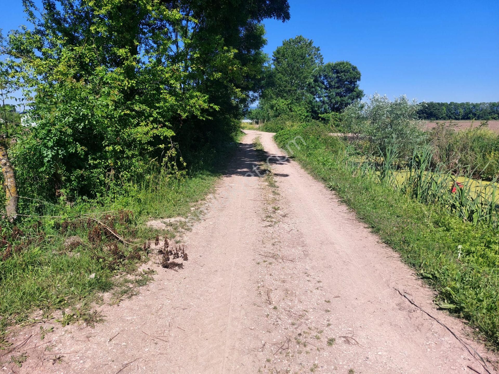 Sakarya Adapazarı Yeşilyurt Ta Satılık 2 Adet Tarla (parsel 26 Ve 27) - Görsel 7