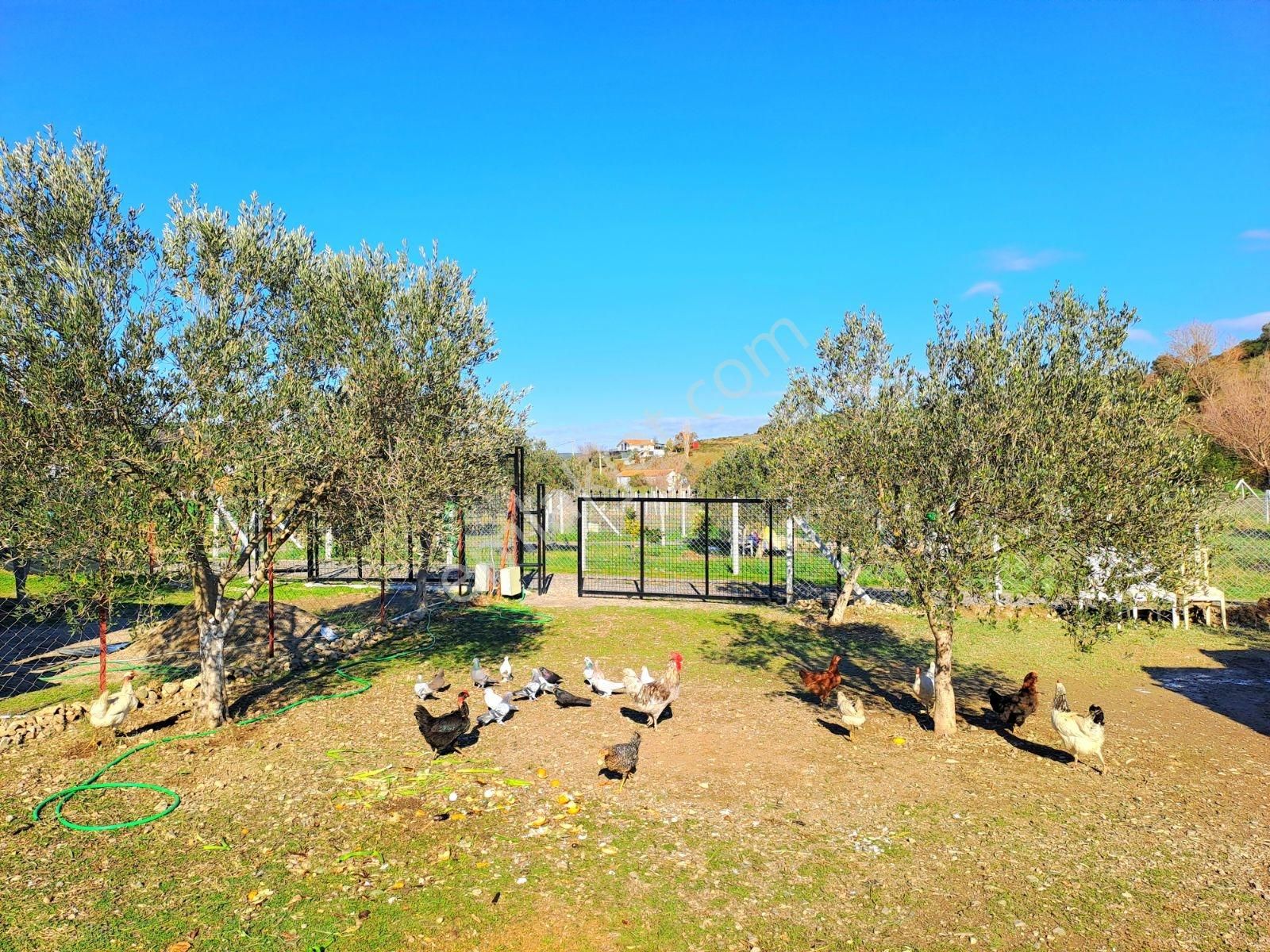 Bu Fiyata Tapulu Yer Yok Kaçırılmayacak Fırsat... - Görsel 4