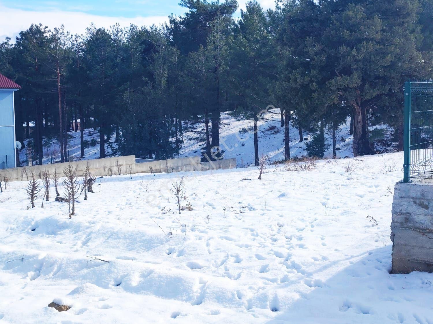 Pozantı Kar Emlak Tan Yeni Konacık Kırıntı Mevkiinde Yaylalık 300 M2 Satılık Arsa - Görsel 12