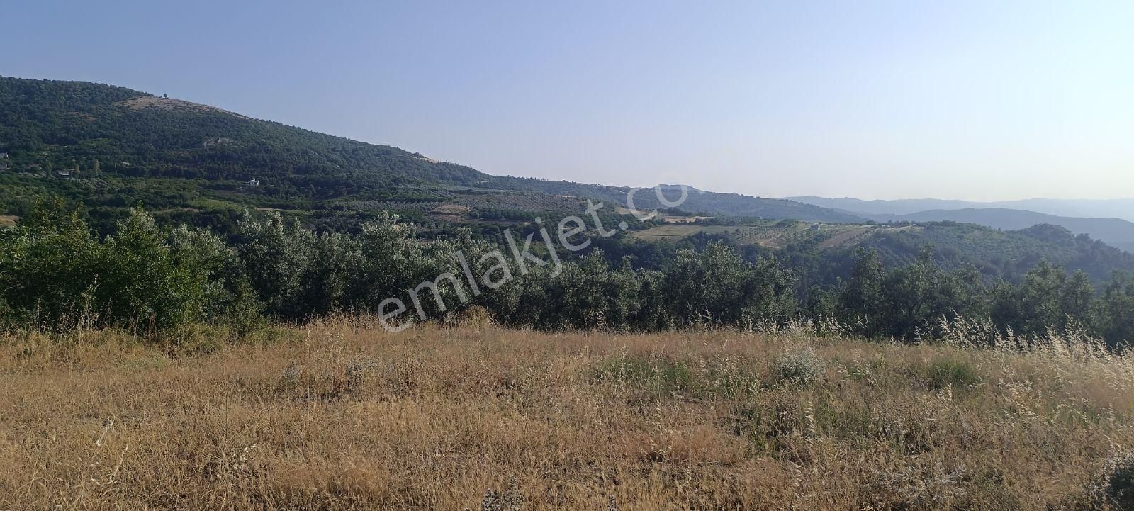 ️ Bursa İznik Çamdibinde Satılık Göl Manzaralı Bağ Ve Tarla! - Görsel 18