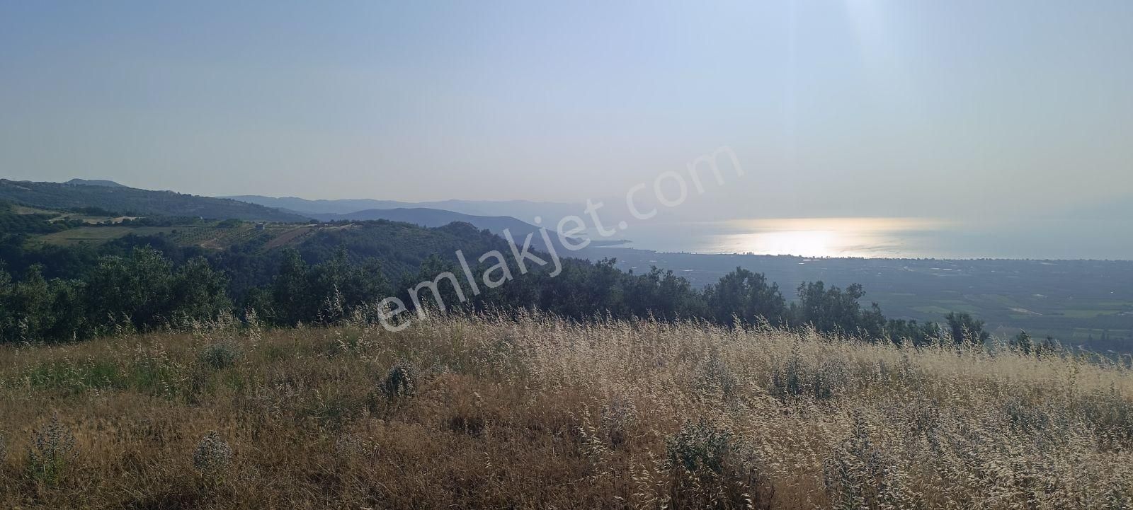 ️ Bursa İznik Çamdibinde Satılık Göl Manzaralı Bağ Ve Tarla! - Görsel 20