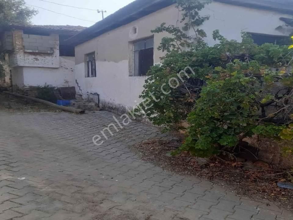 Muğla Milas Derince'de, Elektrik Su Aboneliği Olan Kargir Ev - Görsel 5