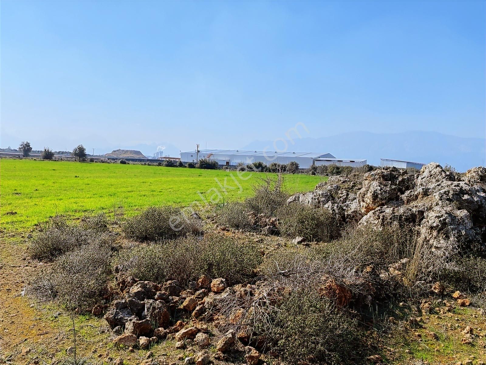 İmar Sınırında 37.722 M2 Satılık Fırsat Tarlası - Görsel 4