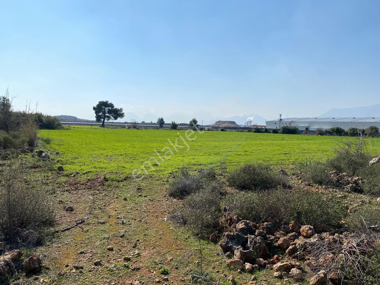 İmar Sınırında 37.722 M2 Satılık Fırsat Tarlası - Görsel 3