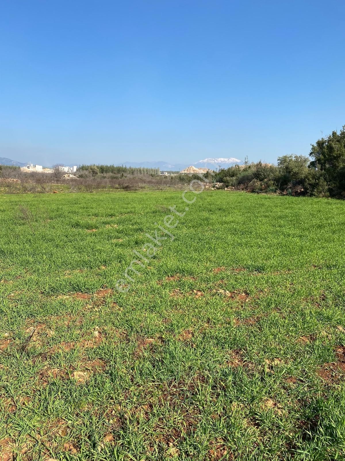 Kepez Başköy'de Satılık Fırsat Tarlası!