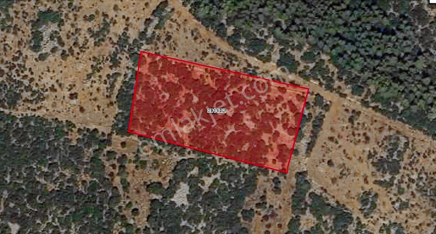 Kepez Başköy De Yatılırım Lık Uygun Fiyatla Satılık Tarla - Görsel 2