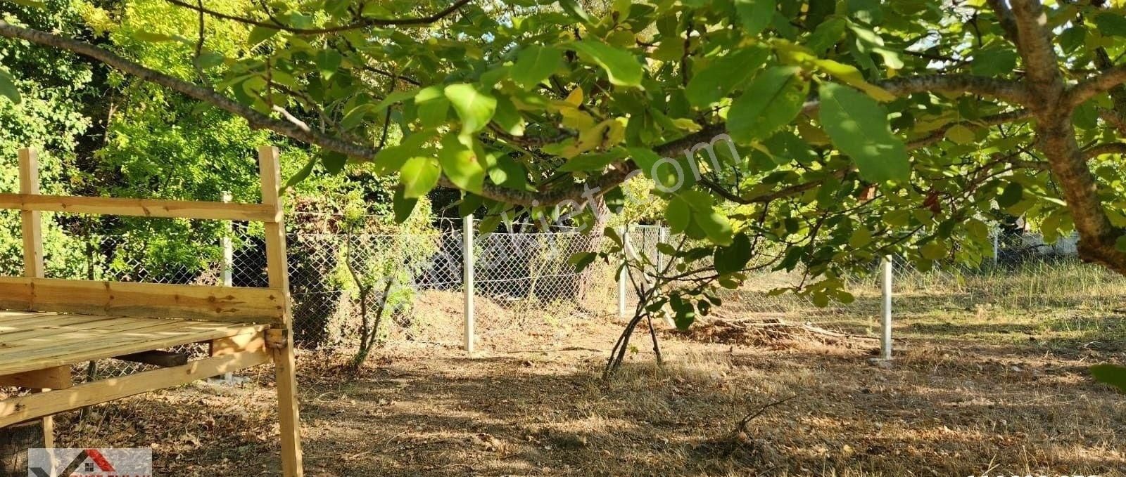 Havran Bölgesinde Dere Kenarı 1210 M2 Hobi Bahçesi Satılıktır - Görsel 2