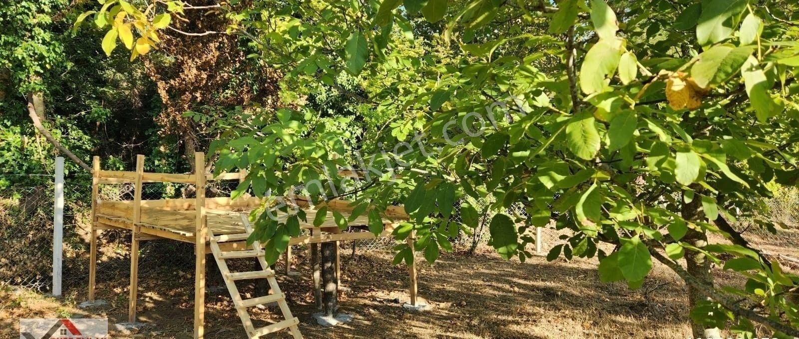 Havran Bölgesinde Dere Kenarı 1210 M2 Hobi Bahçesi Satılıktır - Görsel 14