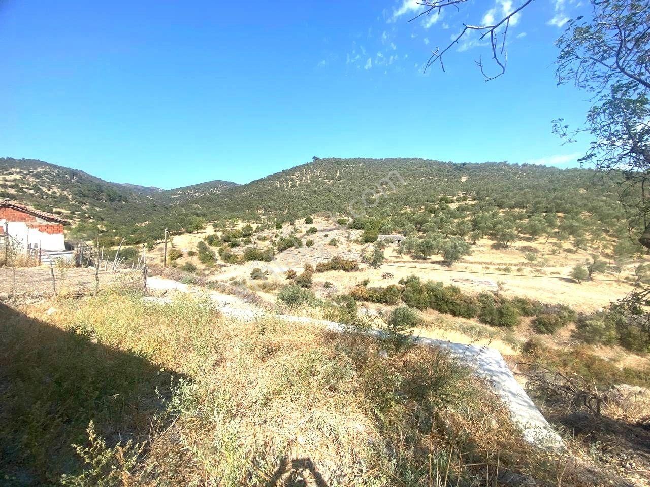 🏡 Aktiften Bahadınlı'da Müstakil Köy Evi 2+1 Satılık ✔ - Görsel 24