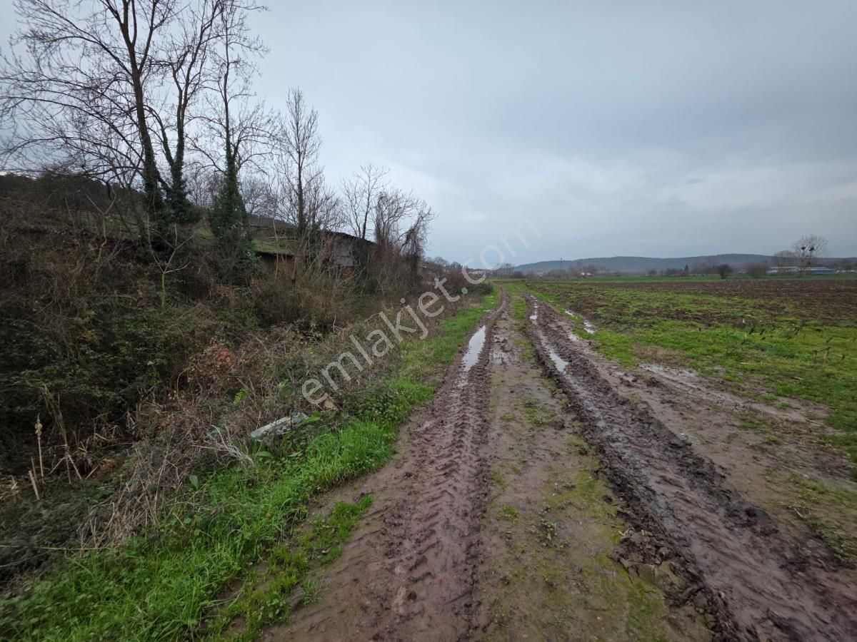 Sakarya Söğütlü De Merkeze Yakın, 3810 M2 Satılık Arazi Favorile - Görsel 3