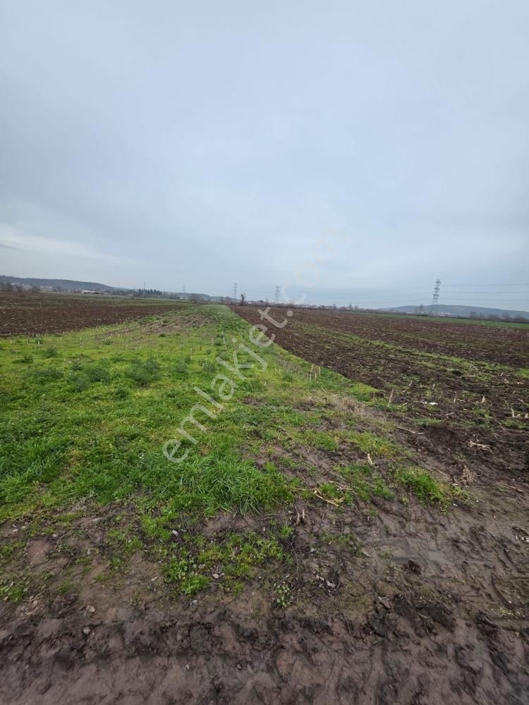 Sakarya Söğütlü De Merkeze Yakın, 3810 M2 Satılık Arazi Favorile - Görsel 4