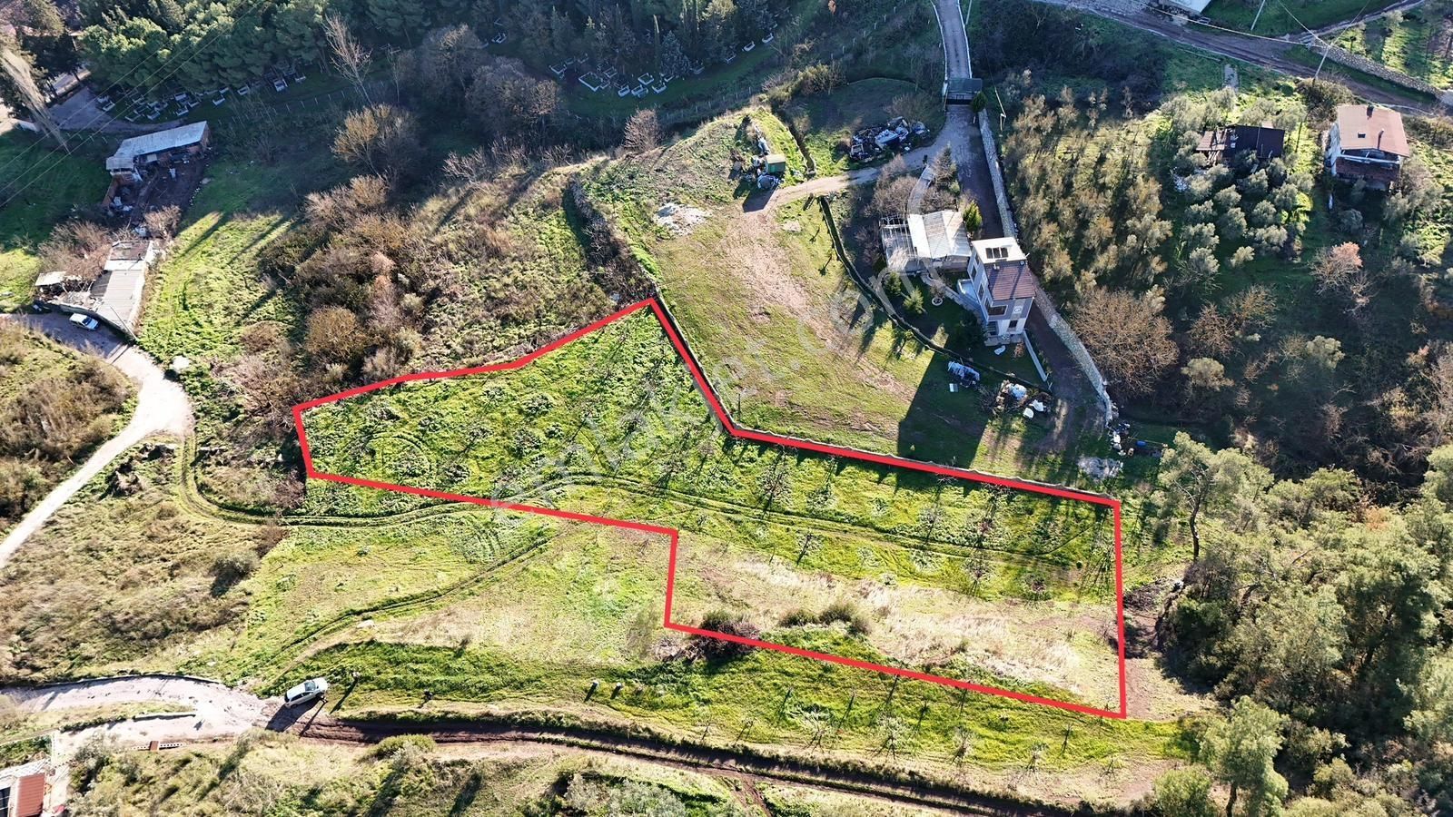 Gemlik Kurtul Köyü Zeytin Ve Zeytinyağı Tesisine Uygun Arazi - Görsel 9