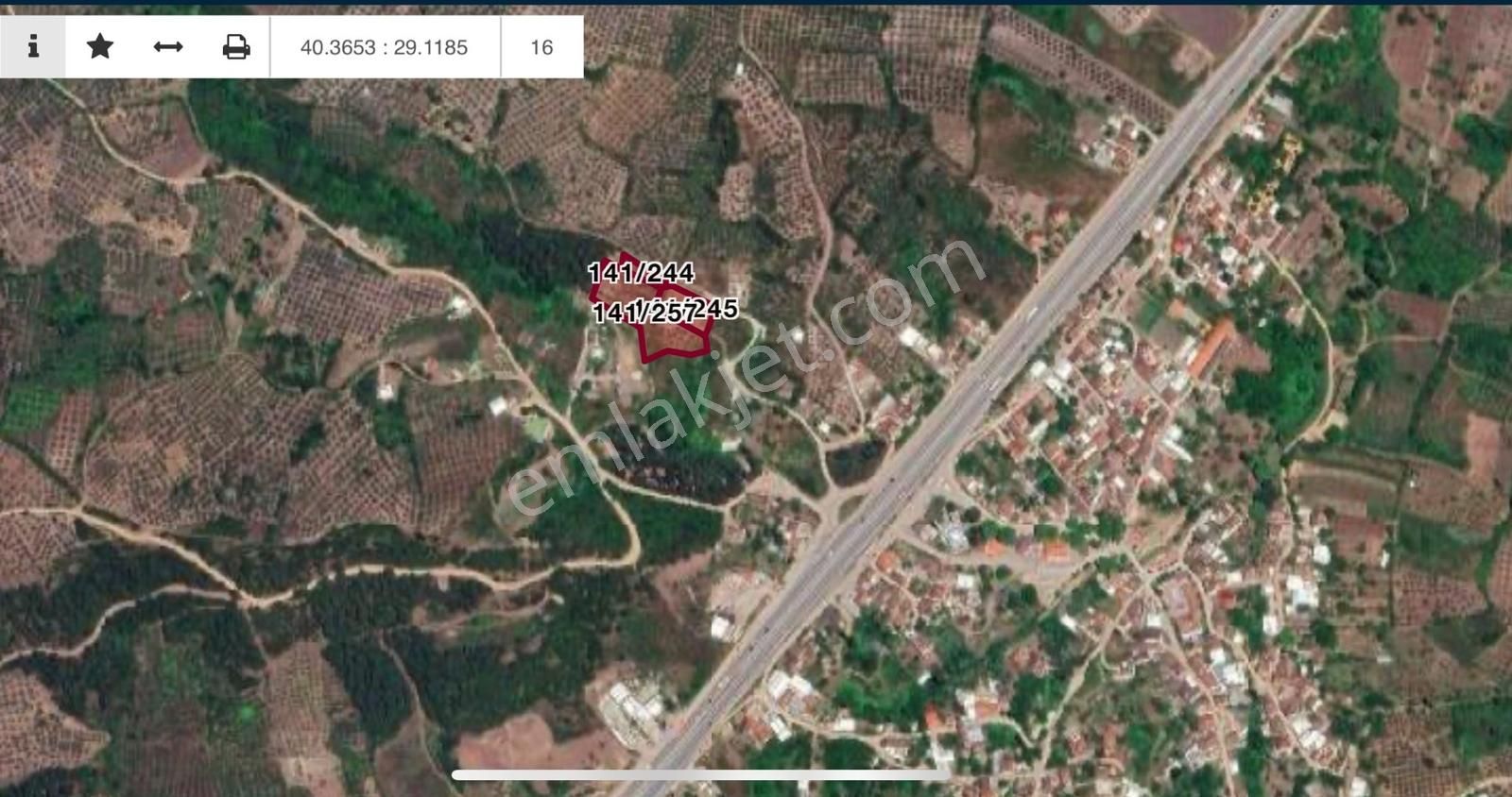 Gemlik Kurtul Köyü Zeytin Ve Zeytinyağı Tesisine Uygun Arazi - Görsel 16