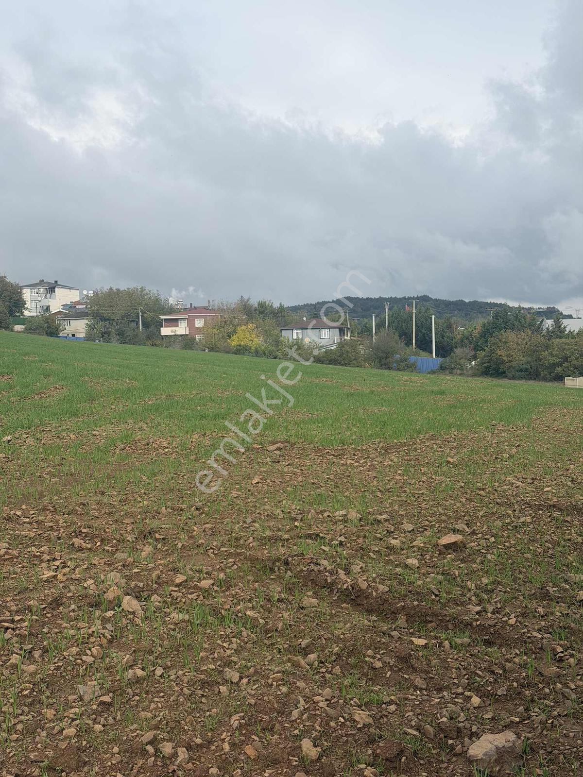 Gebze Pelitli'de Kiralık Arsa - Görsel 23