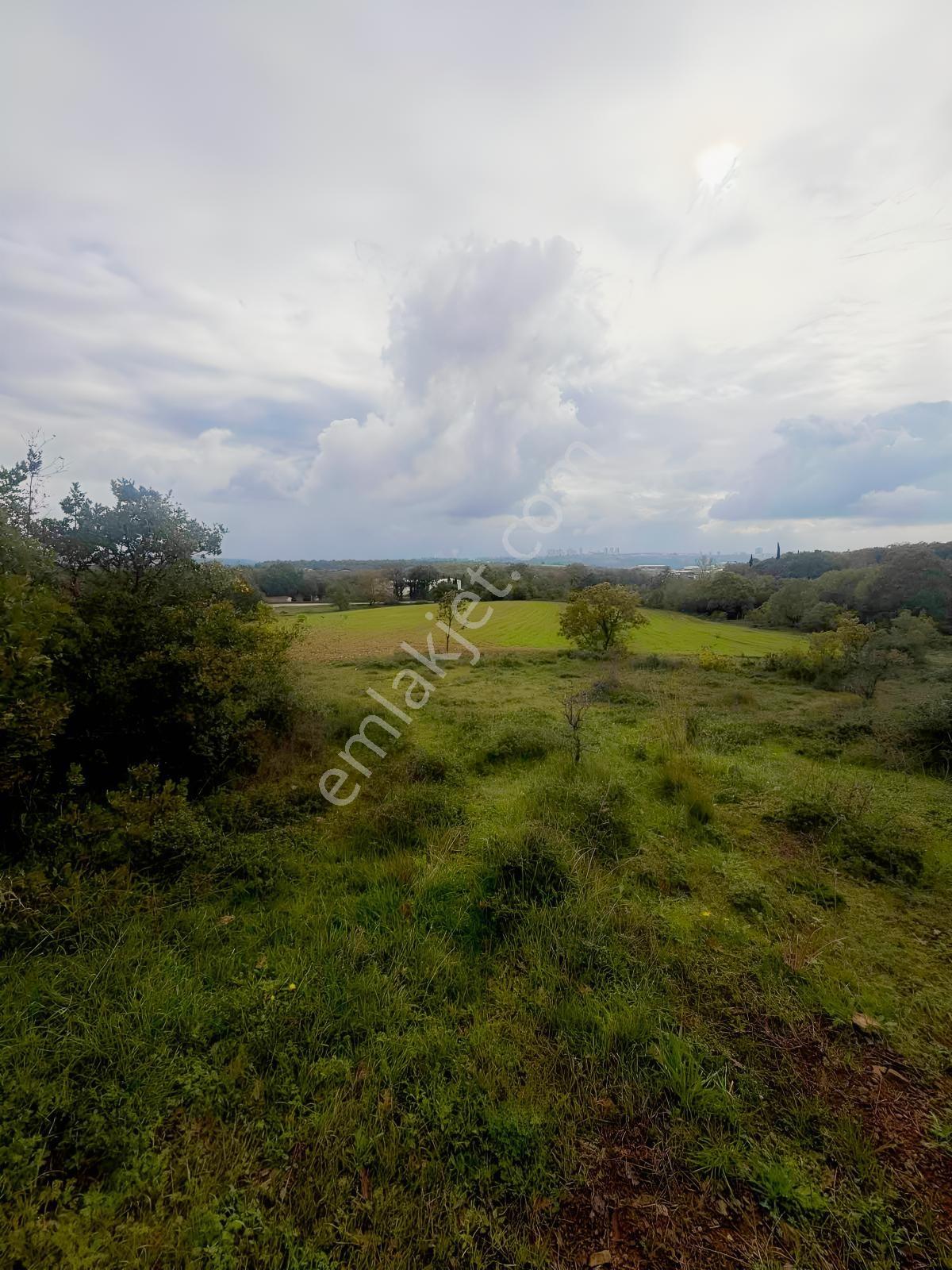 Gebze Pelitli'de Kiralık Arsa - Görsel 7