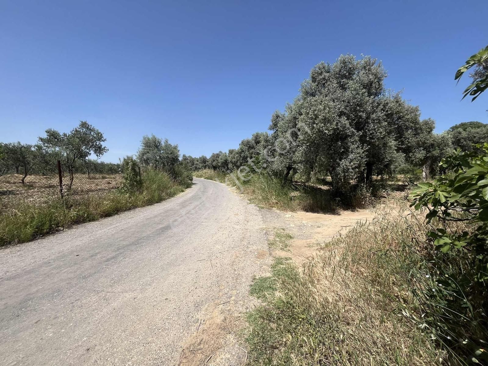 Torbalı Dirmil Mah 3463 M2 Müstakil Tek Tapu Tarla - Görsel 20