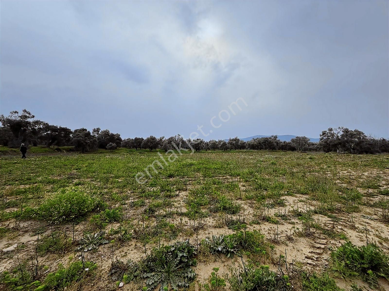 Torbalı Dirmil Mah 3463 M2 Müstakil Tek Tapu Tarla