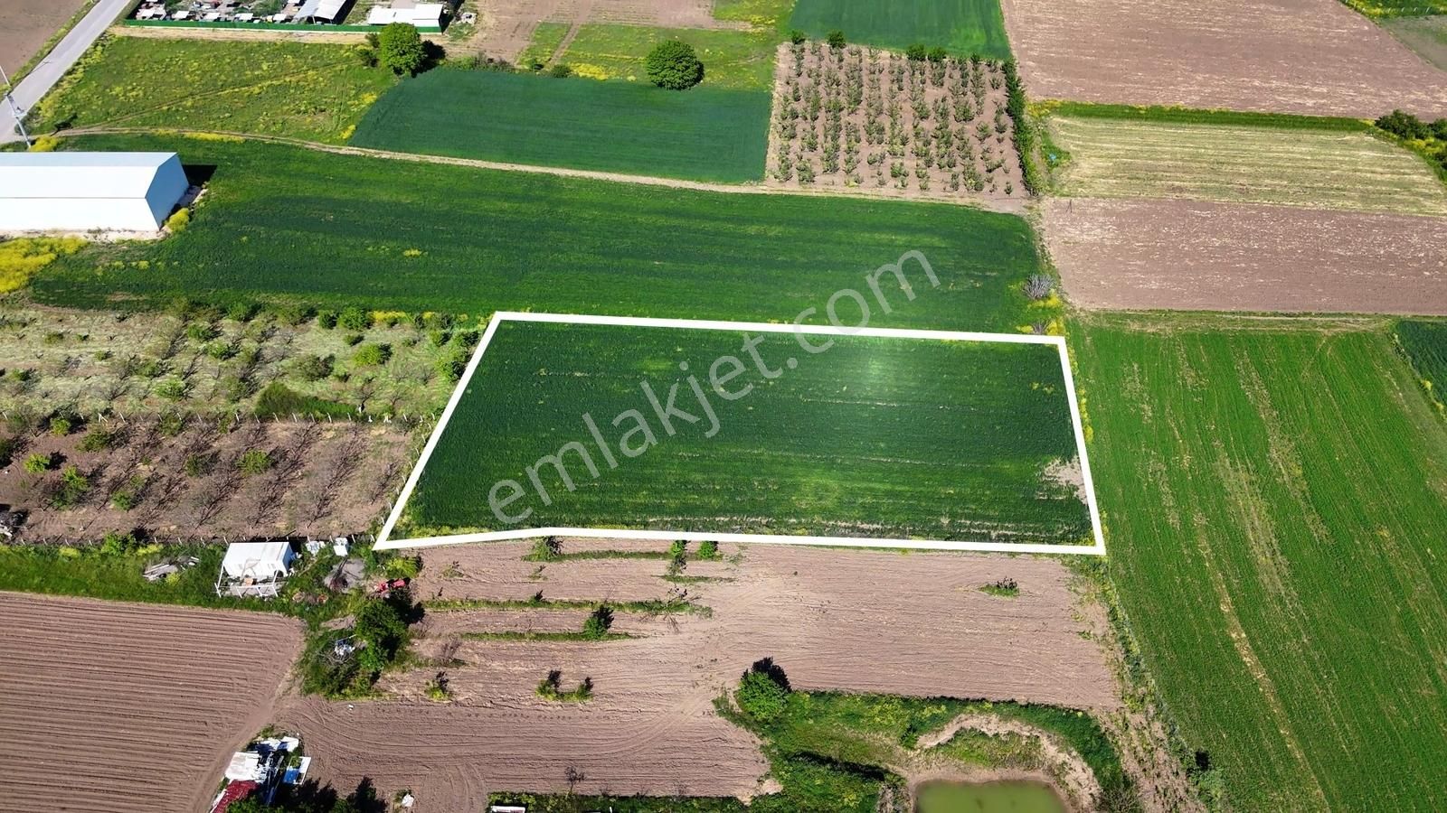 Balabancıkın Değerli Konumunda Tek Tapu Fırsat Arazi - Görsel 9