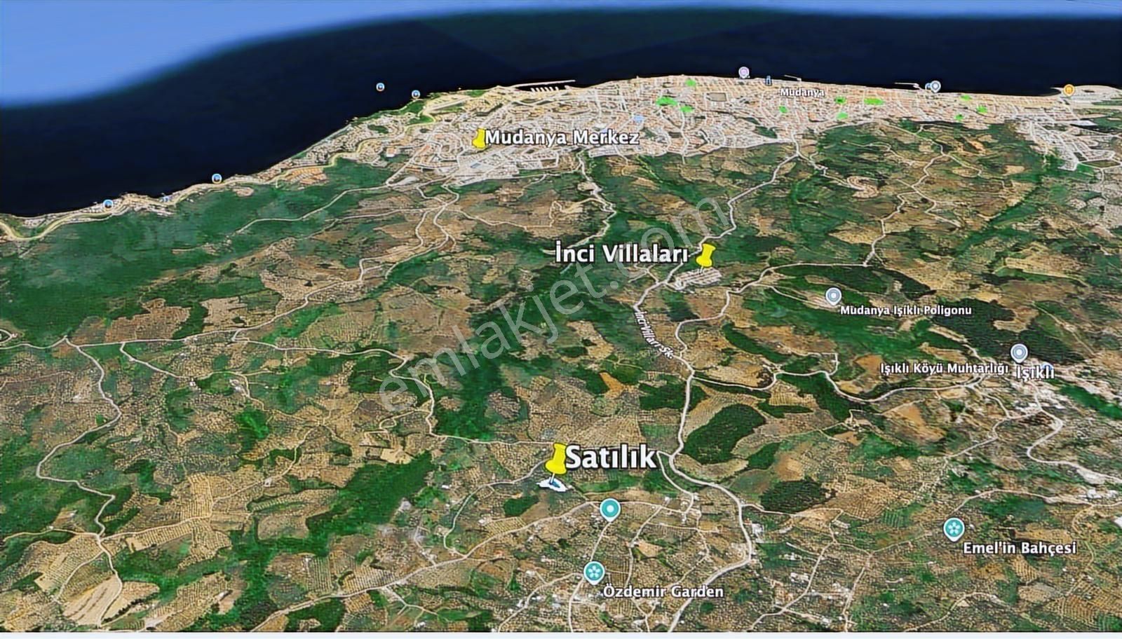 Mudanya Çepni'de Deniz Manzaralı Zeytinlik - Görsel 4