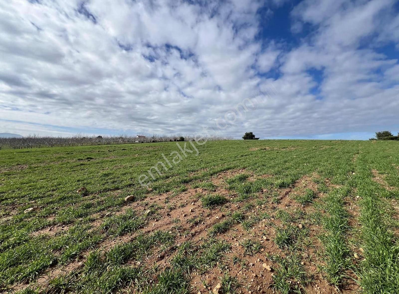 Ezine Akköyde Yatırım Ve Tarım İçin Kaçırılmayacak Fırsat! - Görsel 25