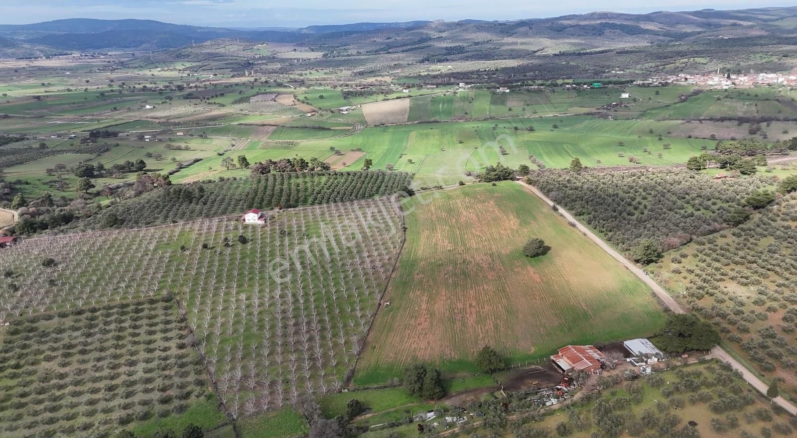 Ezine Akköyde Yatırım Ve Tarım İçin Kaçırılmayacak Fırsat! - Görsel 13