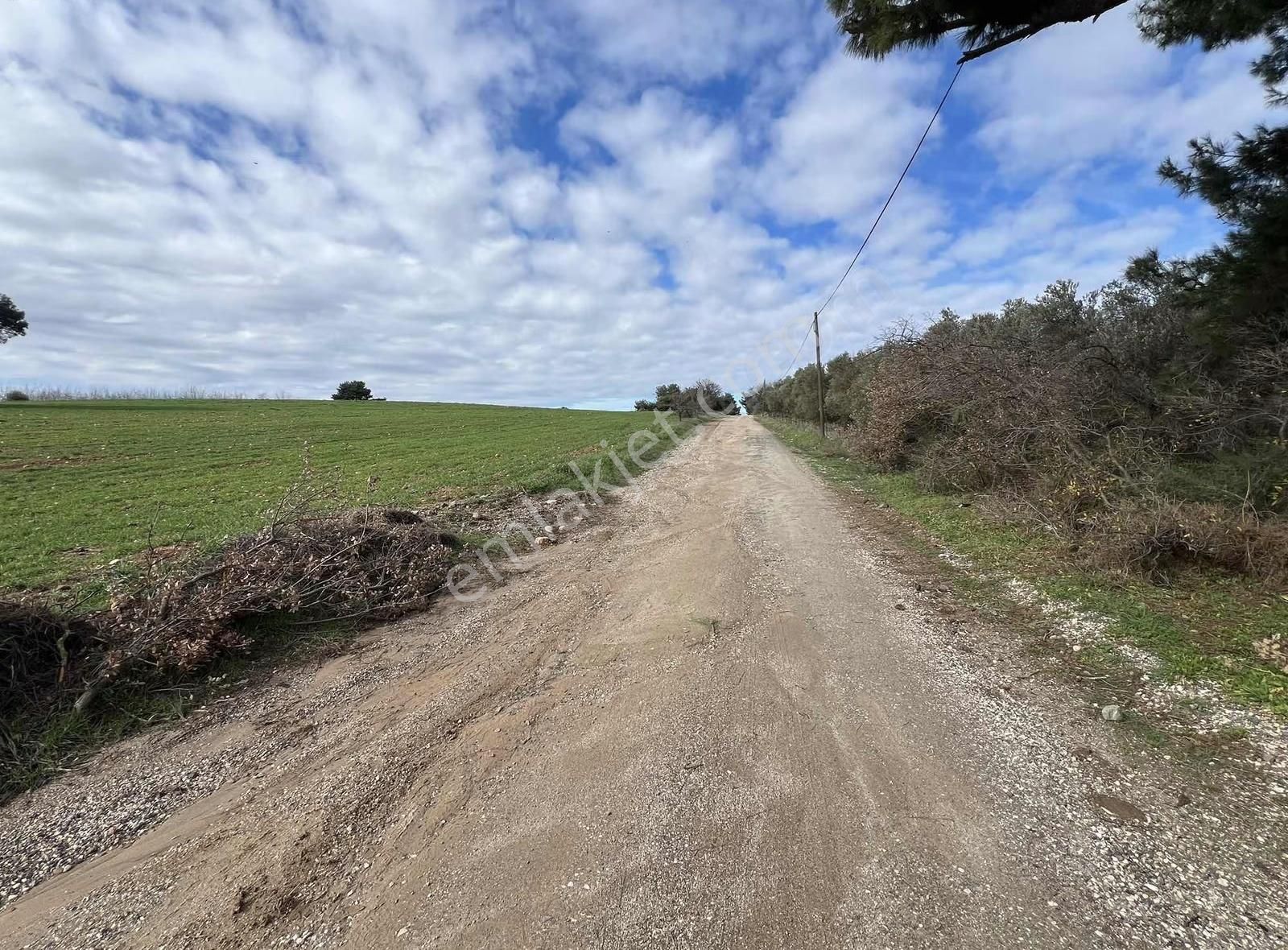 Ezine Akköyde Yatırım Ve Tarım İçin Kaçırılmayacak Fırsat! - Görsel 16