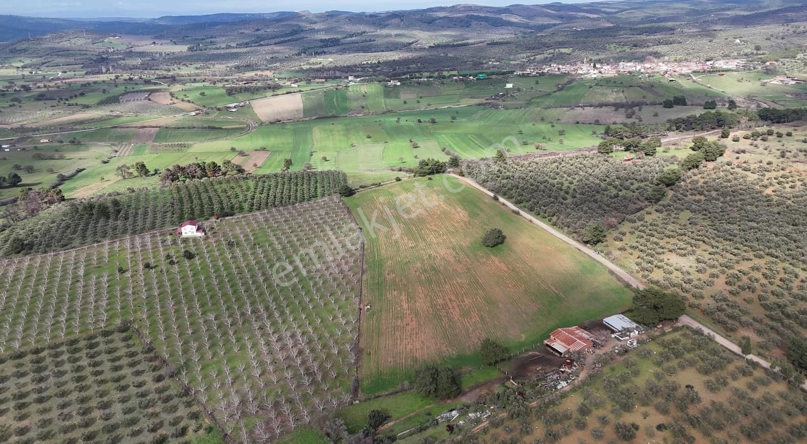 Ezine Akköyde Yatırım Ve Tarım İçin Kaçırılmayacak Fırsat! - Görsel 23