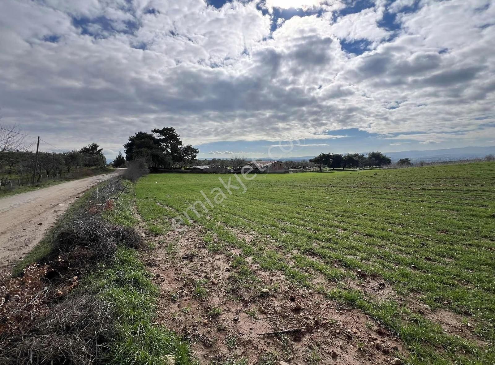 Ezine Akköyde Yatırım Ve Tarım İçin Kaçırılmayacak Fırsat! - Görsel 11