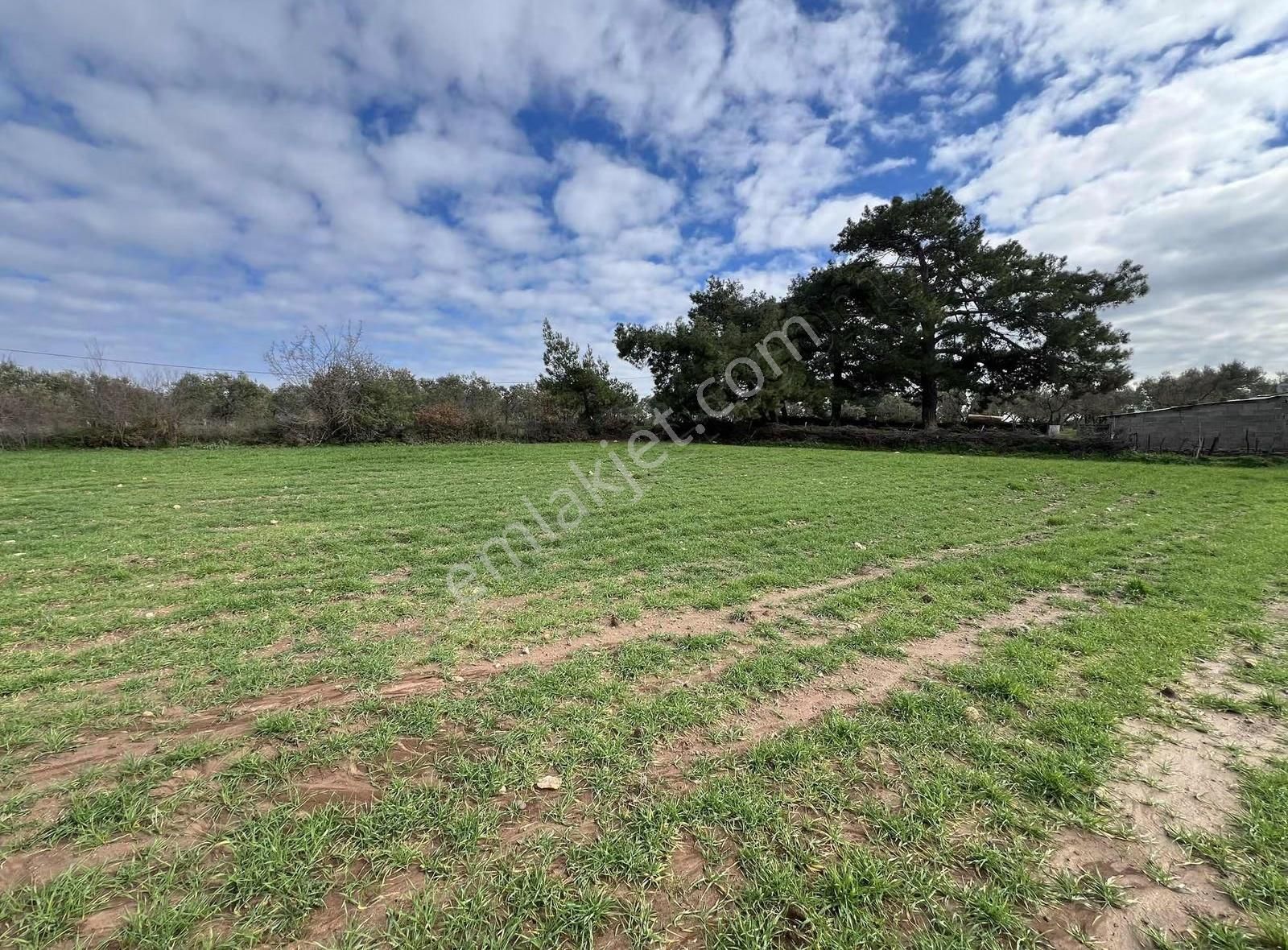 Ezine Akköyde Yatırım Ve Tarım İçin Kaçırılmayacak Fırsat! - Görsel 20