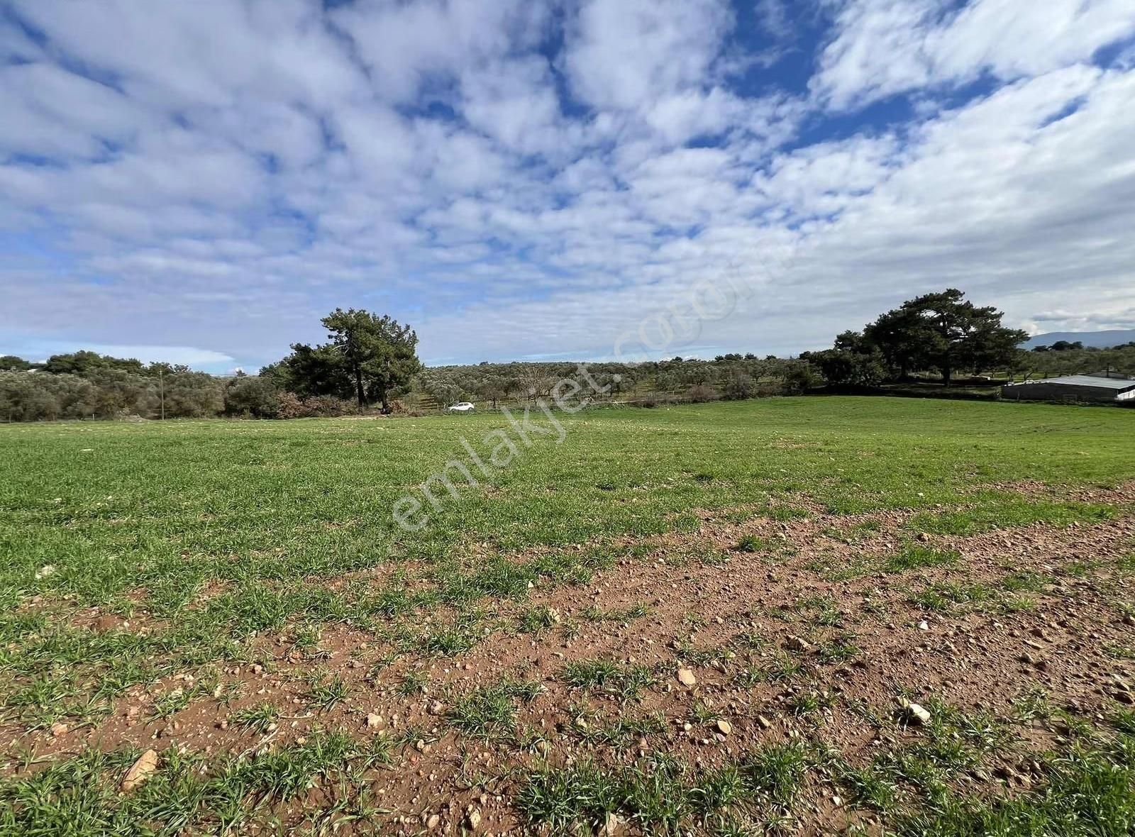 Ezine Akköyde Yatırım Ve Tarım İçin Kaçırılmayacak Fırsat! - Görsel 34