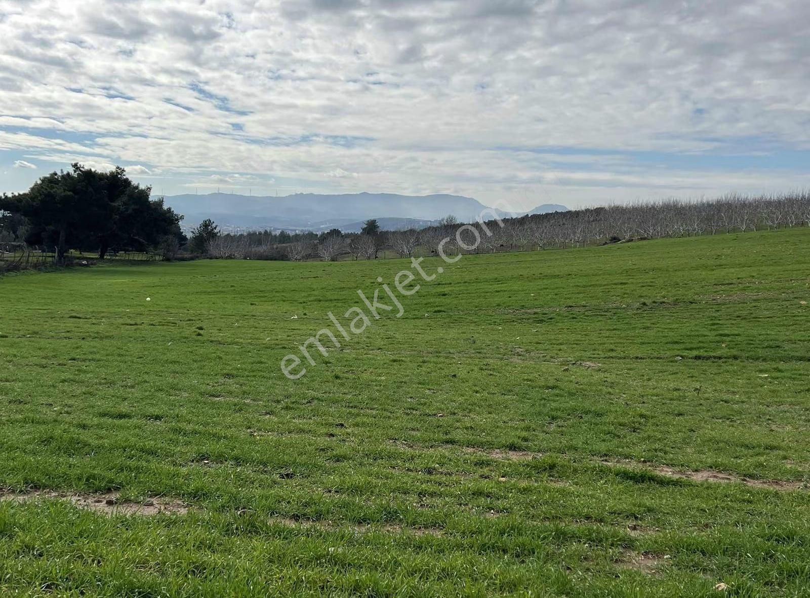 Ezine Akköyde Yatırım Ve Tarım İçin Kaçırılmayacak Fırsat! - Görsel 18