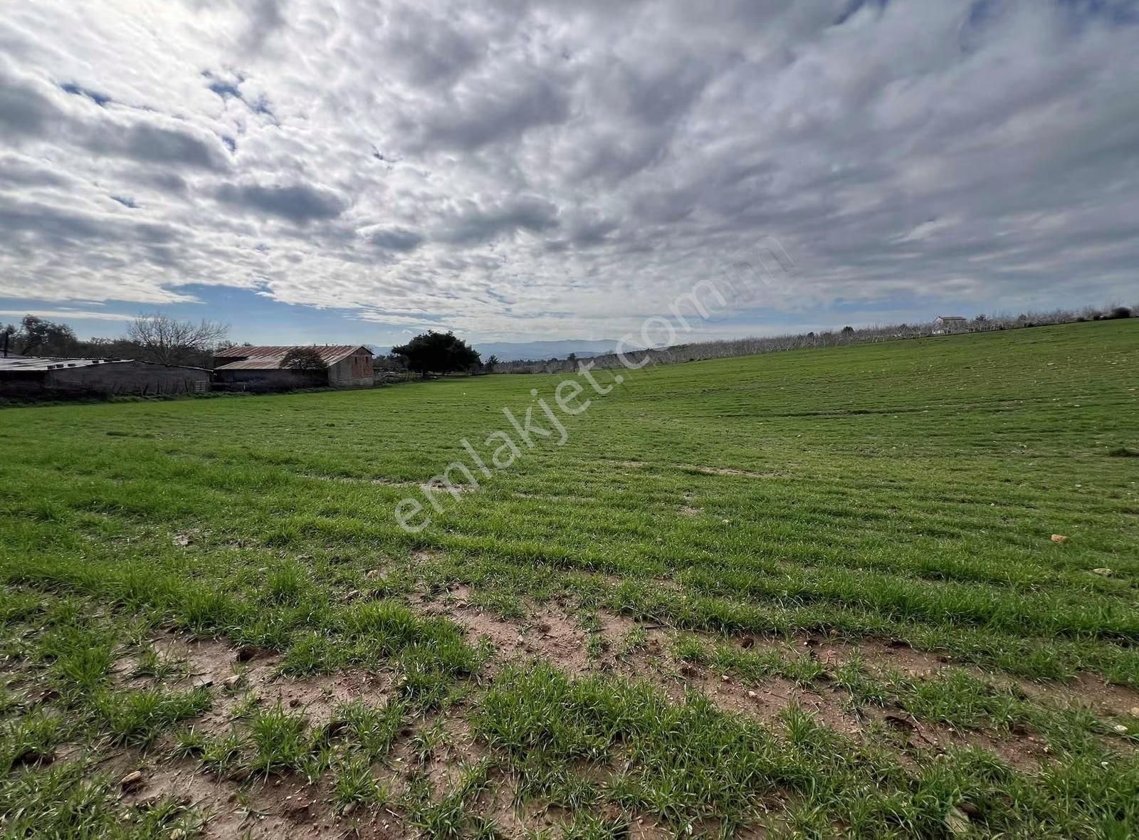 Ezine Akköyde Yatırım Ve Tarım İçin Kaçırılmayacak Fırsat! - Görsel 6