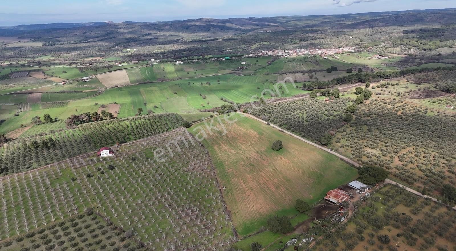 Ezine Akköyde Yatırım Ve Tarım İçin Kaçırılmayacak Fırsat! - Görsel 15