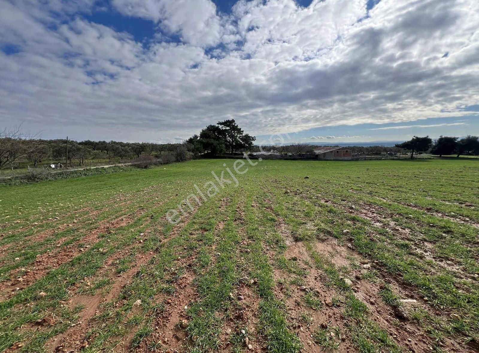 Ezine Akköyde Yatırım Ve Tarım İçin Kaçırılmayacak Fırsat! - Görsel 9