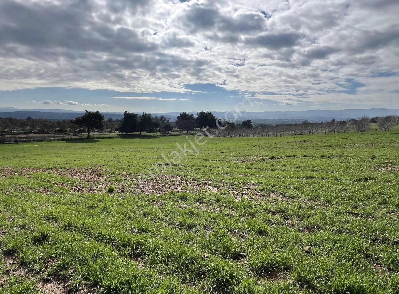 Ezine Akköyde Yatırım Ve Tarım İçin Kaçırılmayacak Fırsat! - Görsel 28