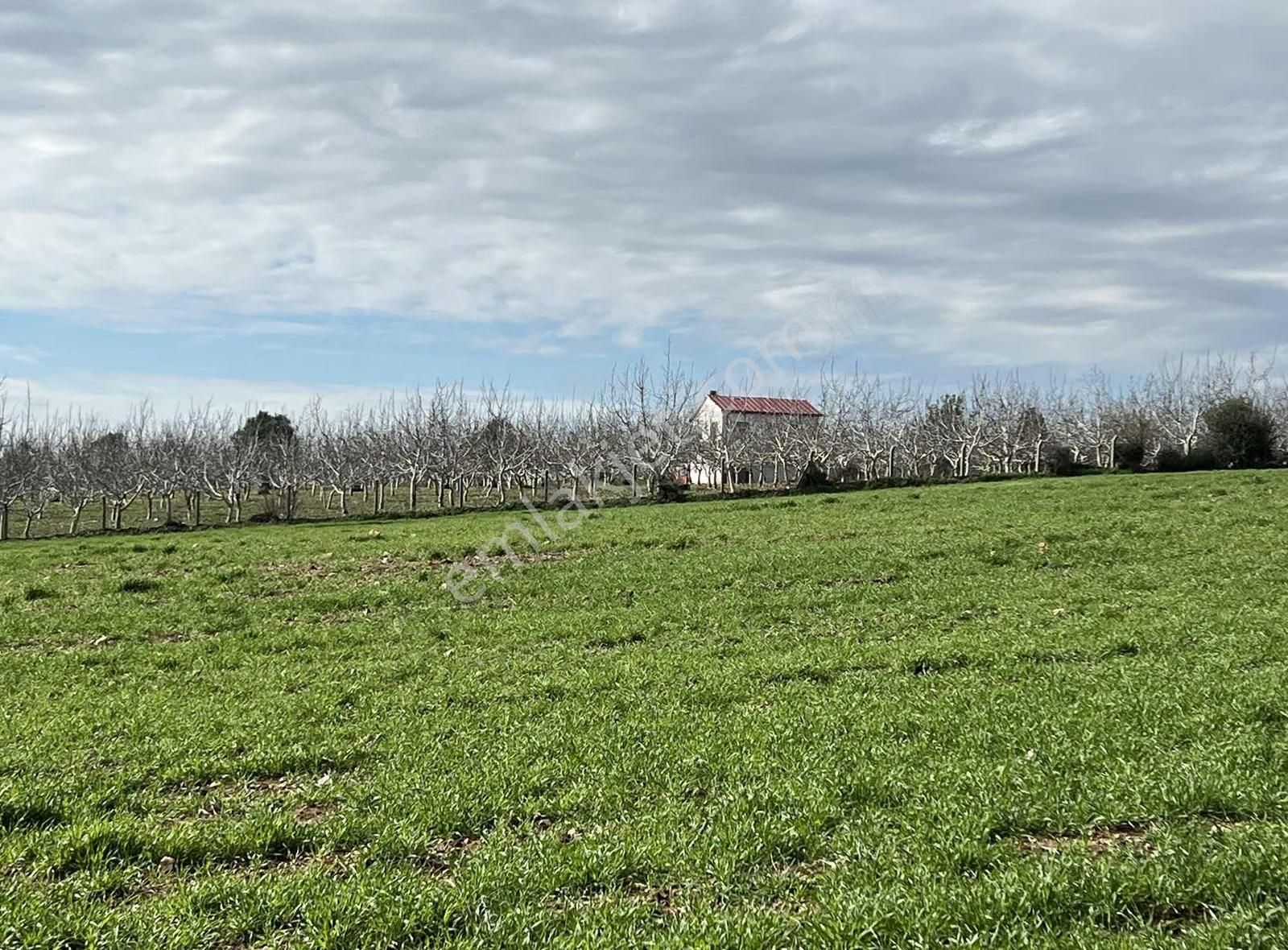 Ezine Akköyde Yatırım Ve Tarım İçin Kaçırılmayacak Fırsat! - Görsel 26