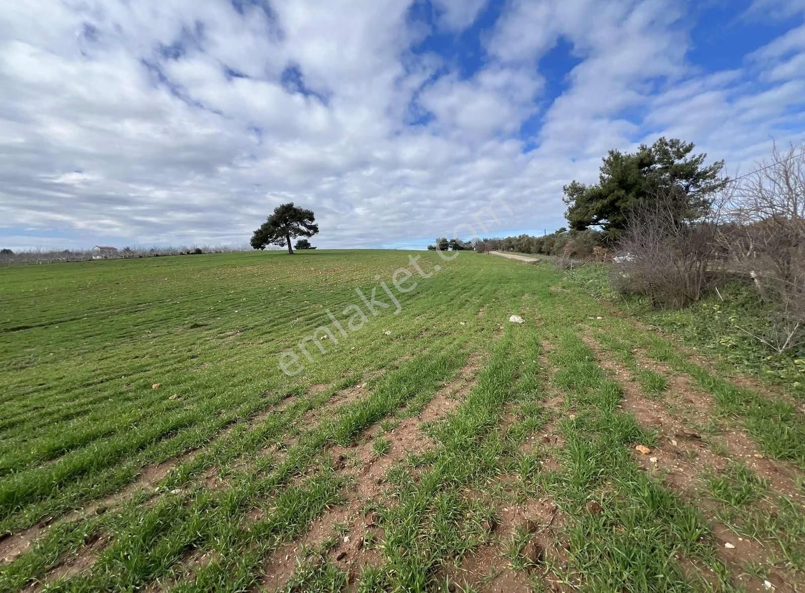 Ezine Akköyde Yatırım Ve Tarım İçin Kaçırılmayacak Fırsat! - Görsel 27