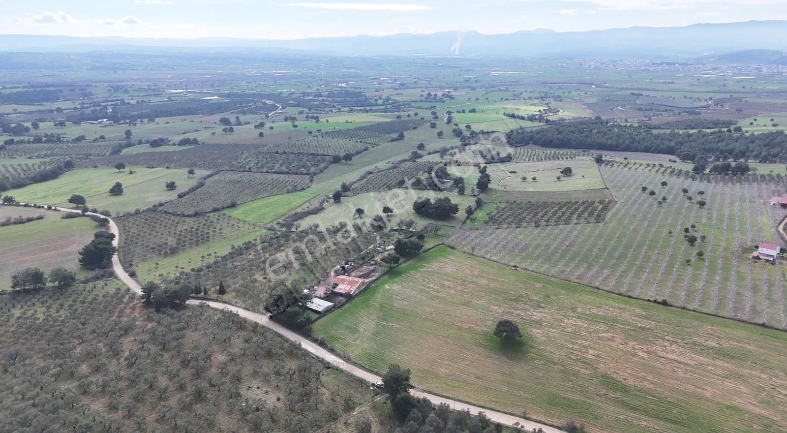 Ezine Akköyde Yatırım Ve Tarım İçin Kaçırılmayacak Fırsat! - Görsel 17