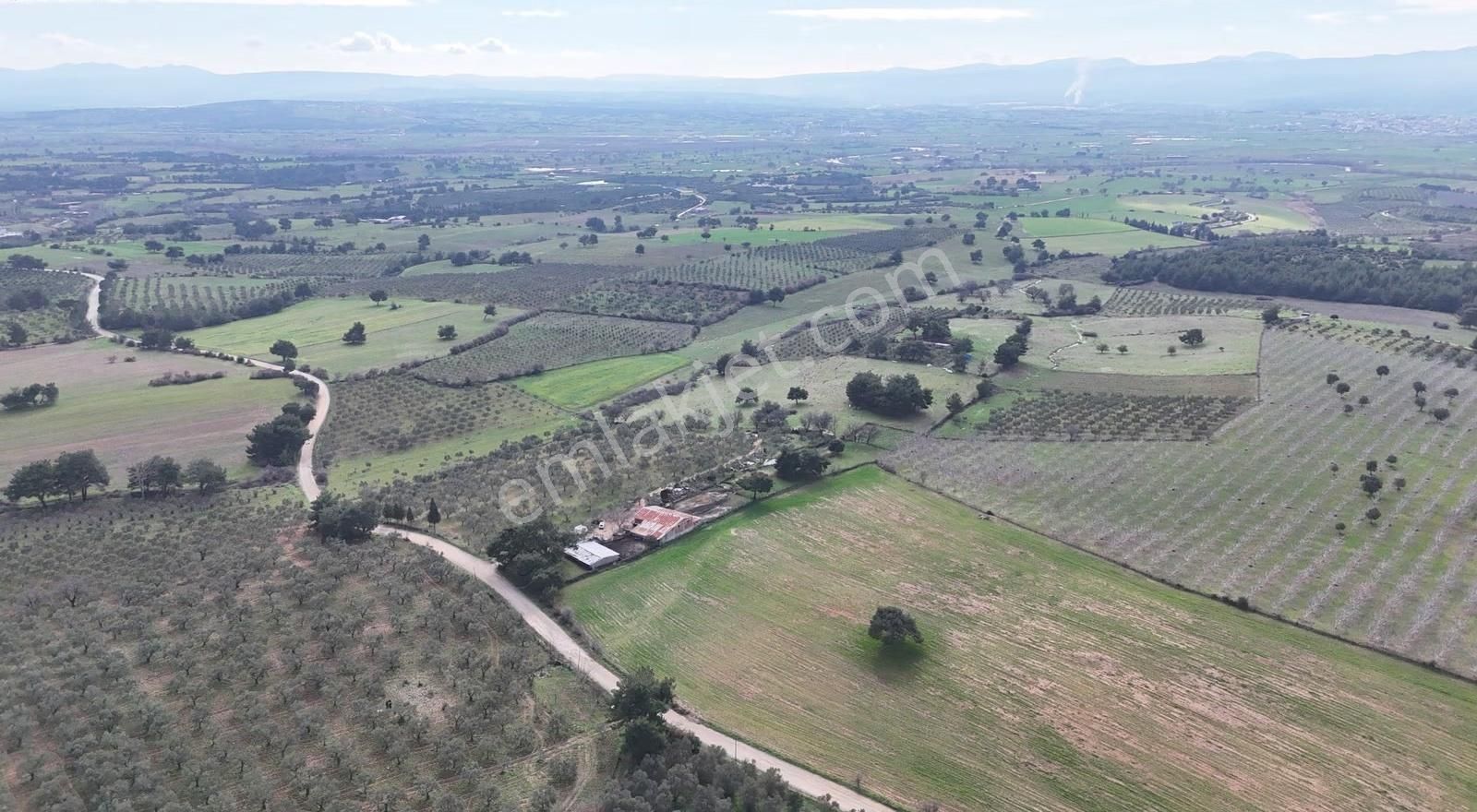 Ezine Akköyde Yatırım Ve Tarım İçin Kaçırılmayacak Fırsat! - Görsel 12