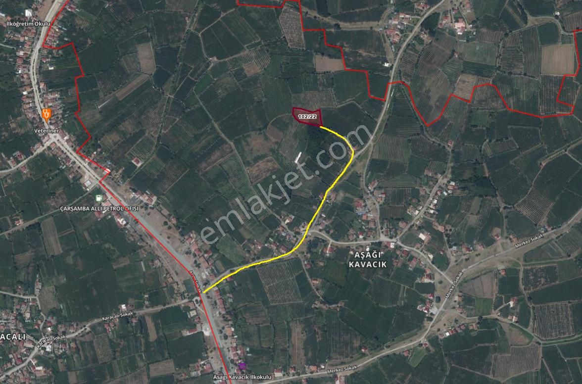 Çarşamba Aşagı Kavacık Bükler Mevkiinde 4.651 M² Satılık Tarla