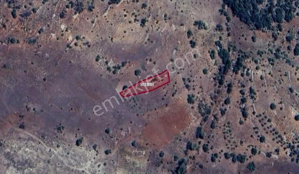 Konya Hadim Aşağıeşenler Köyünde 802 M² Bağ Satılıktır