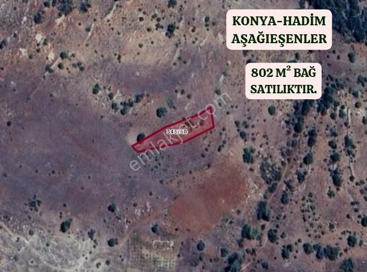 Konya Hadim Aşağıeşenler Köyünde 802 M² Bağ Satılıktır - Görsel 2