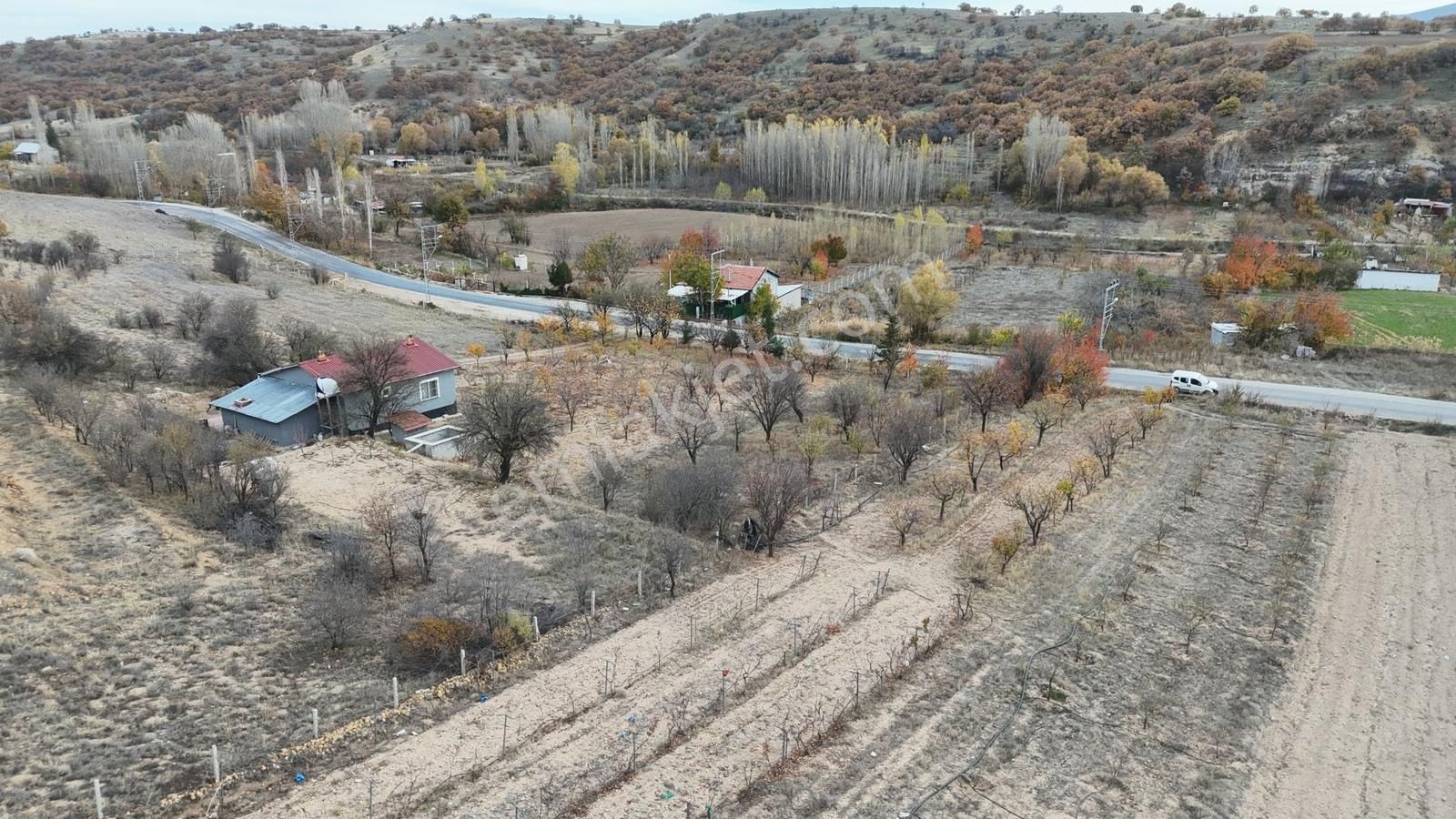 Çomaklar'da Asvalt Yola Sıfır 785 M² Müstakil Bahçelik Tarla - Görsel 17