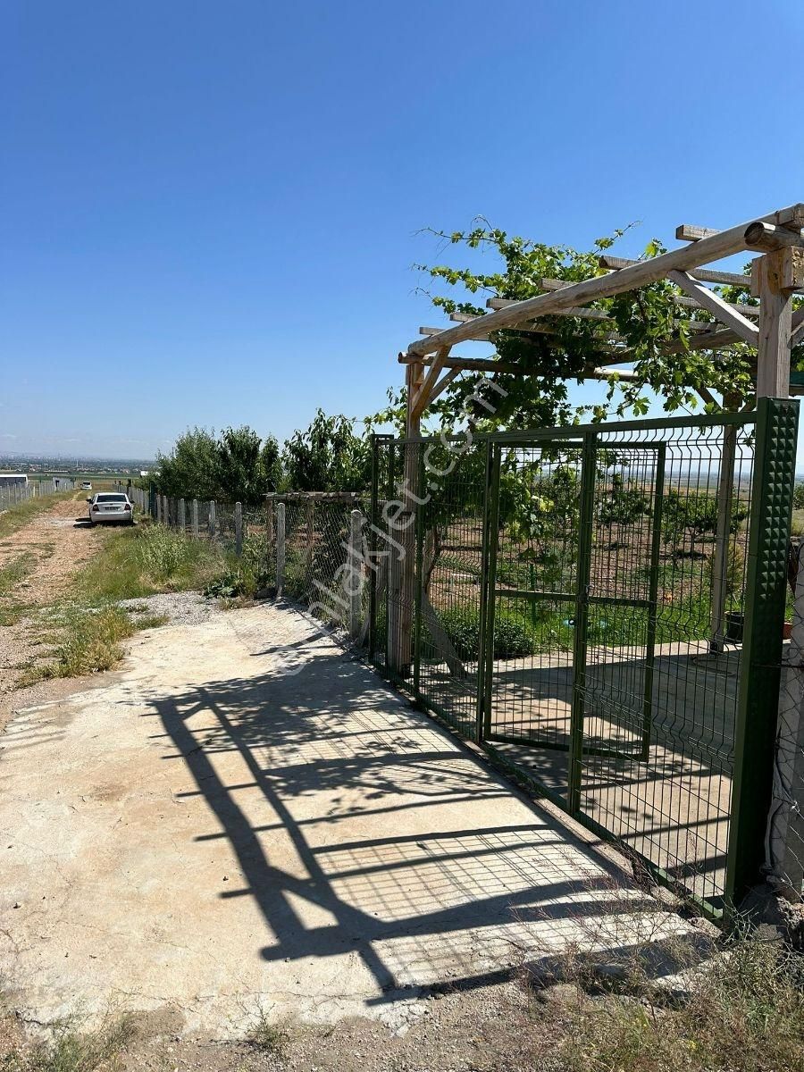 Meram'da Doğayla İç İçe, Yetişmiş Ağaçlı, Hazır Kurulu Düzen !!! - Görsel 6