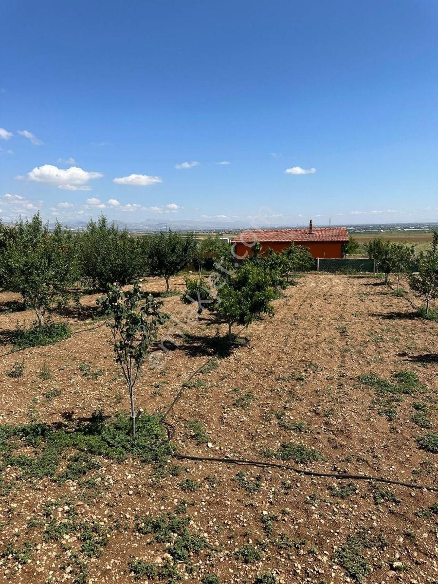 Meram'da Doğayla İç İçe, Yetişmiş Ağaçlı, Hazır Kurulu Düzen !!! - Görsel 11