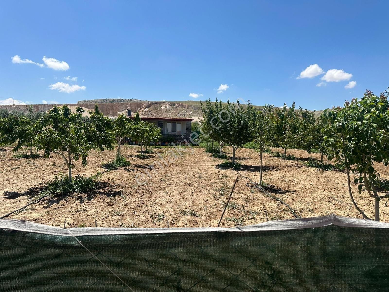 Meram'da Doğayla İç İçe, Yetişmiş Ağaçlı, Hazır Kurulu Düzen !!! - Görsel 24